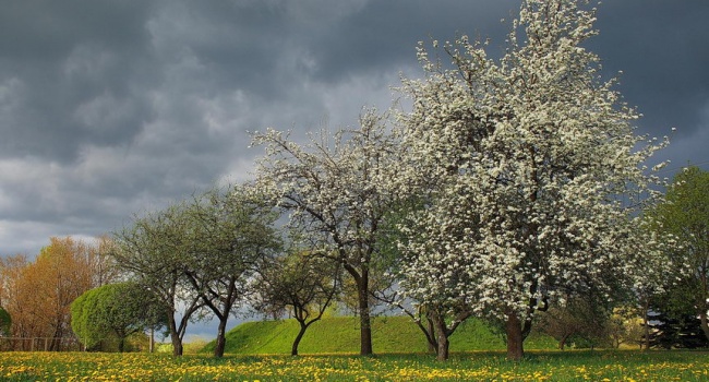  ������� ��������� ����� ������� ����� �������� 