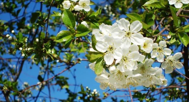  ������� ��������� ���������� ��������� 