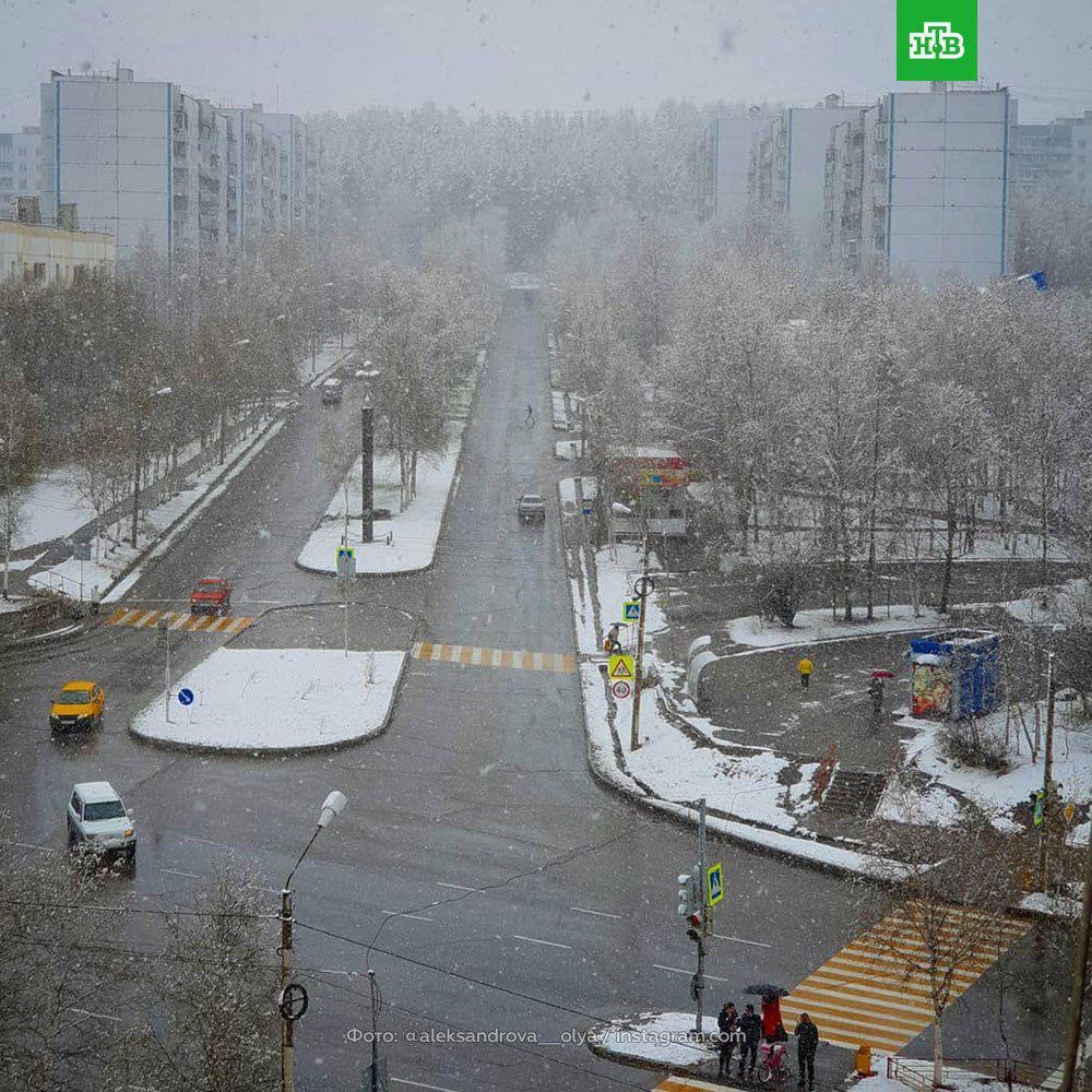 В мае выпал снег картинки