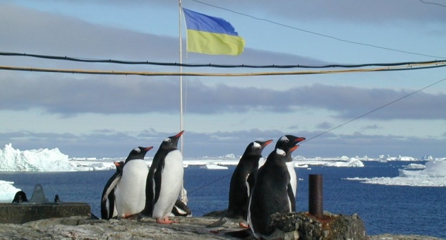 Украина готовит новые проекты по экспедициям в Антарктиду Украина готовит новые проекты по экспедициям в Антарктиду