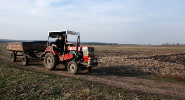 Рынок земли: ЕСПЧ признал незаконным мораторий на землю в Украине, Конституционный Суд иного мнения