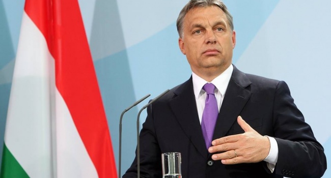 Венгрия в НАТО устроила новый бунт против Украины 