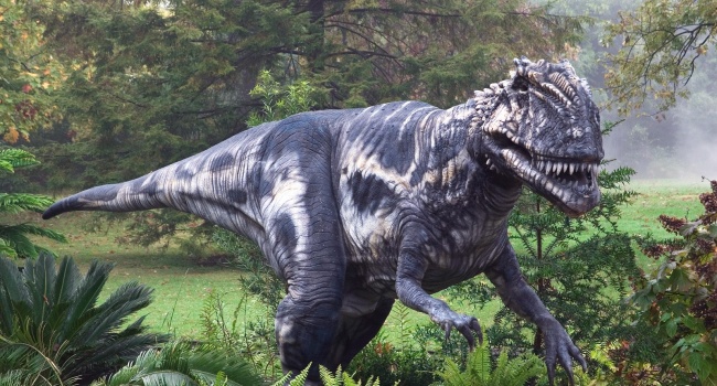 Ученые: у динозавров была перхоть