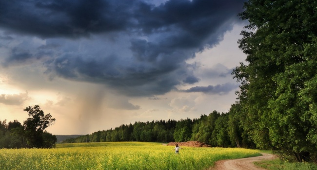  ������� ������ ����� ����� 