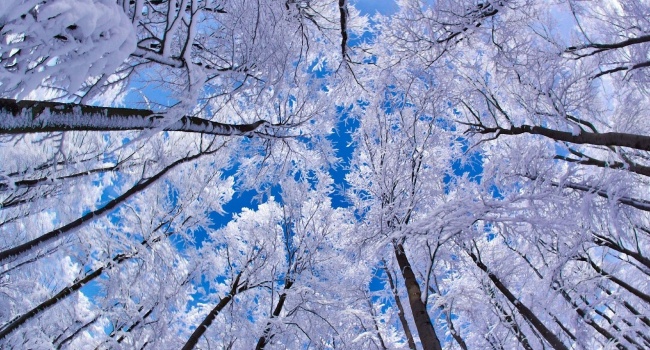  �������� ������ ����� ���� 