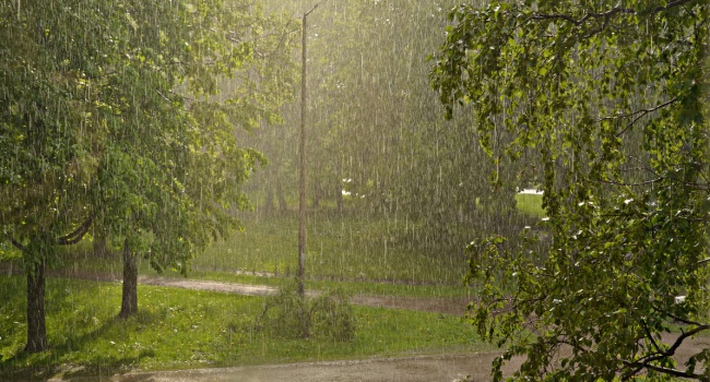  ����� ����������� ��������� 