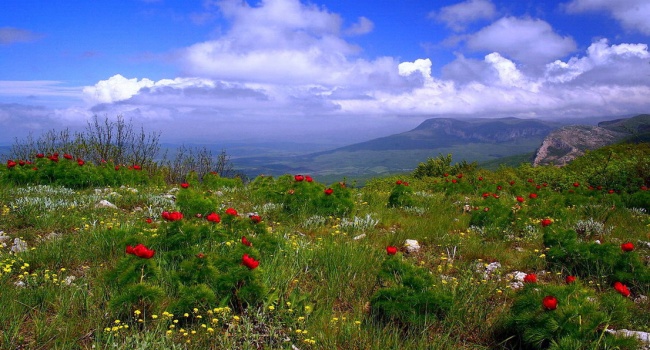 ����: replyua.net