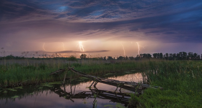  ��������� ������� ������������ �������� ����� 