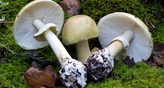  ����� �������� ���������� ������� ����� ����������������� 