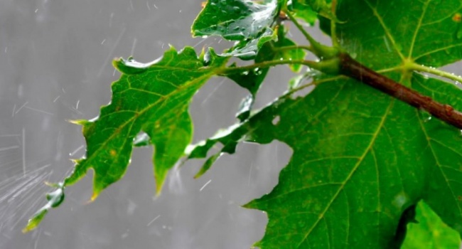  ����� ����������� ���� �������� ��������� 