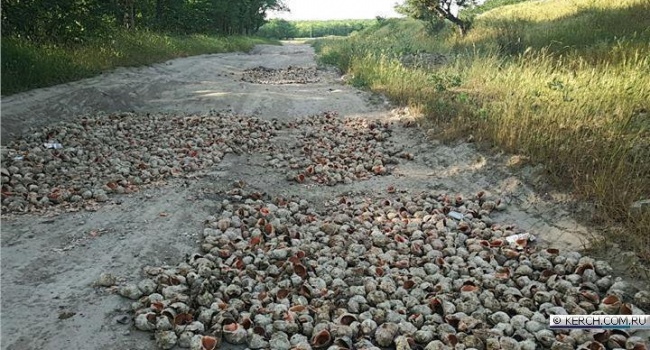  ������ ���� ���� ���� �������� ������ ����� ����� 