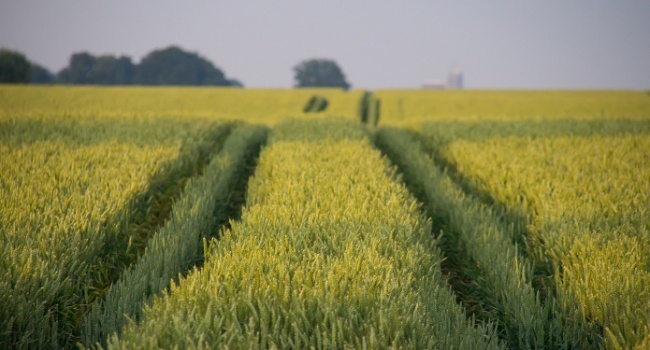  ������� �������� ����� �������� ����� ����� 