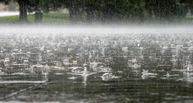 ����: replyua.net