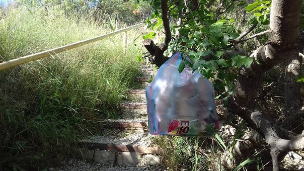 Мертвый дельфин и горы мусора: сеть потрясли шокирующие фото из «курортного» Крыма