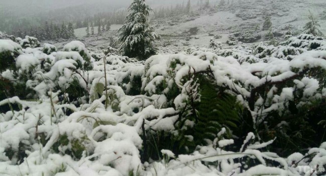 Непогода в Украине: в Закарпатье выпал первый летний снег