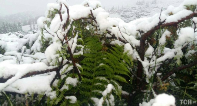 Непогода в Украине: в Закарпатье выпал первый летний снег
