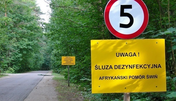 Польша передумала строить стену на границе с Украиной 