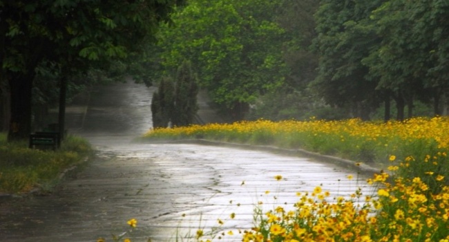  �������� ���� ���������� ������� ������� ������ 