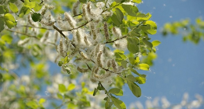  ����������� ������������ ������� ��������� ������������ ������ ����� ������ 