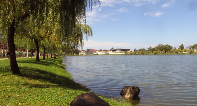 ����: replyua.net