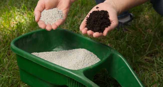  �������� �������� ����� ������������ 