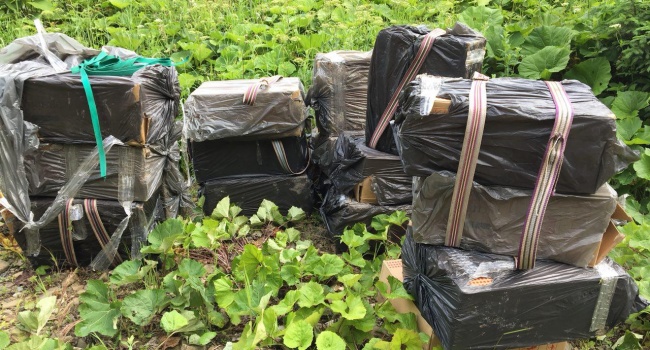  �������� ������� ����������� ������� ���� ����������� ������� ������ 