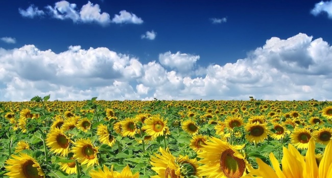  �������� ���������� ���������� �������� ������� 