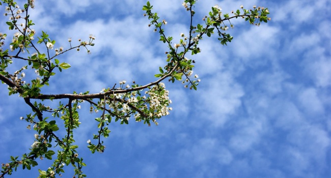  �������� ������������ ������� ��������� ������������ ����������� ���� 