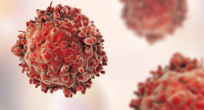  ��������� ������ ������ ������� ������� 