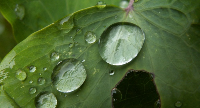  ����� ����� ����������� �������� 