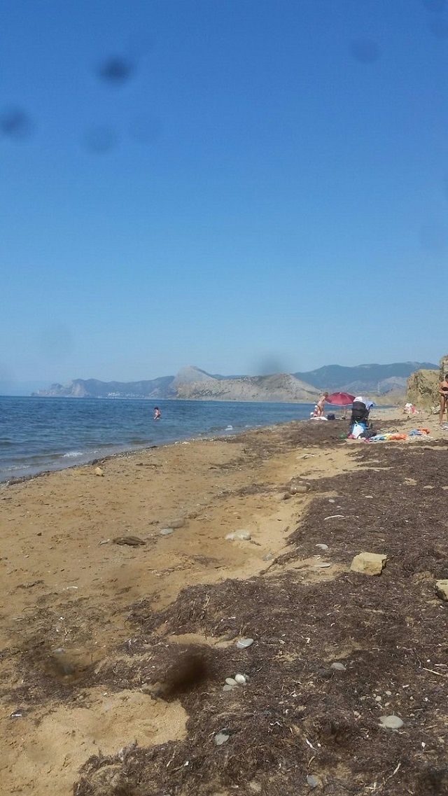 Еще не сезон: в сети показали пустой пляж Крыма