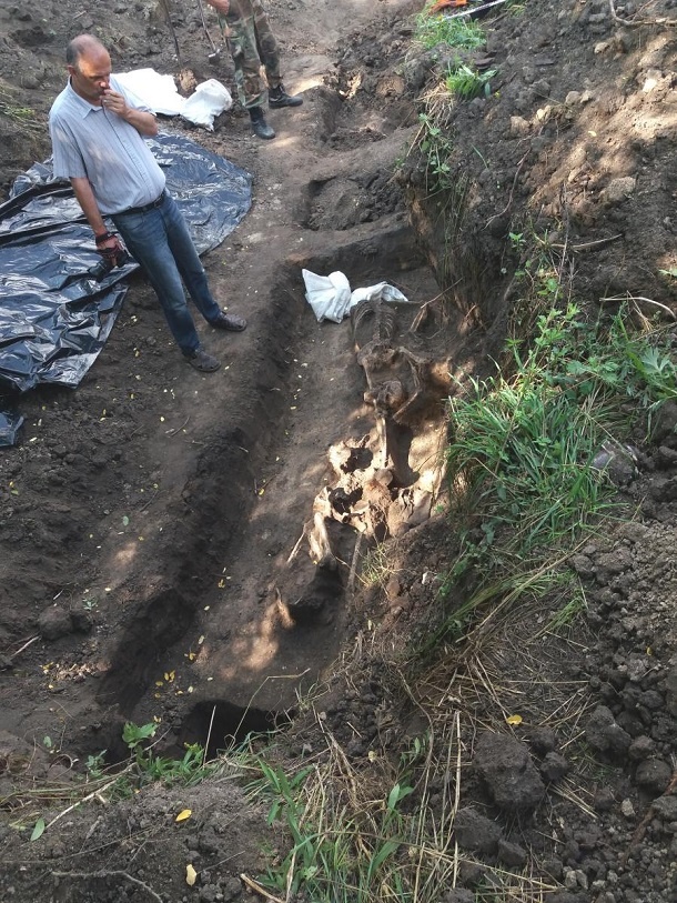 В Украине обнаружили массовое захоронение воинов УПА: в сети опубликованы фото