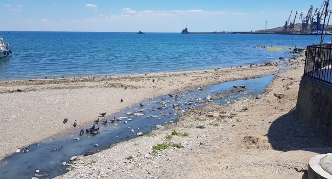 «Пустота и разруха в Крыму»: в сети показали, как выглядят Симферополь и Феодосия «Пустота и разруха в Крыму»: в сети показали, как выглядят Симферополь и Феодосия