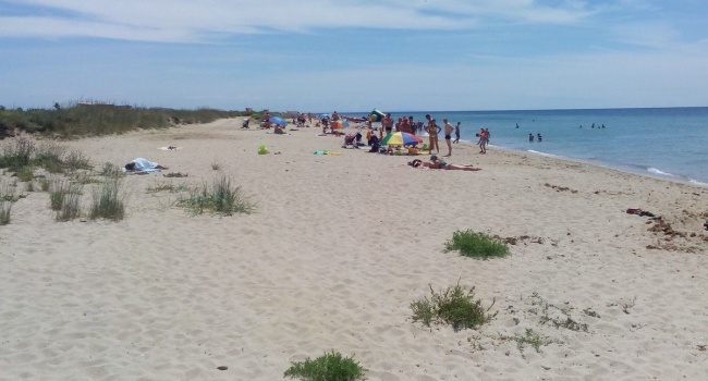 «Туристы не приехали, но грязь появилась», - в сети показали новые фото из Крыма «Туристы не приехали, но грязь появилась», - в сети показали новые фото из Крыма