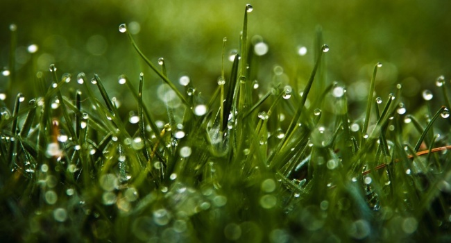 Шквалы, грозы и ливни, - в Гидрометцентре уточнили прогноз