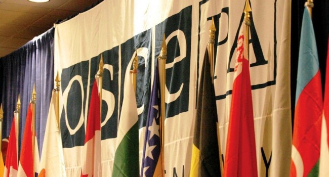 Россияне устроили скандал на заседании постоянного комитета парламентской ассамблеи ОБСЕ