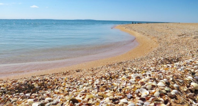 Еще не сезон: в сети показали пустой пляж Крыма