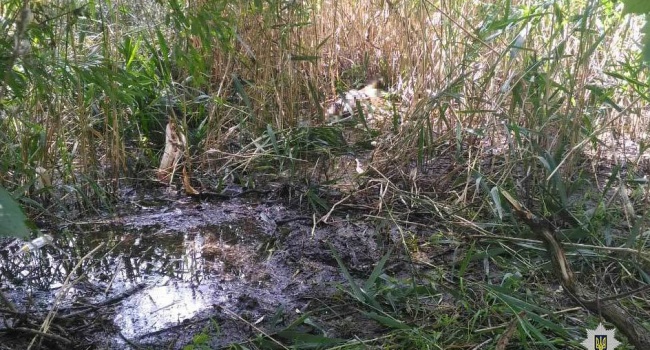  ��������� ������ ������� �������� 13-������ ��������� �������� 