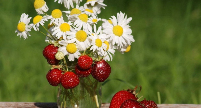 ����: replyua.net