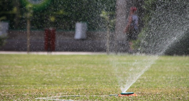  ������ ���� ����������� ���������� ������� ������� ���� 