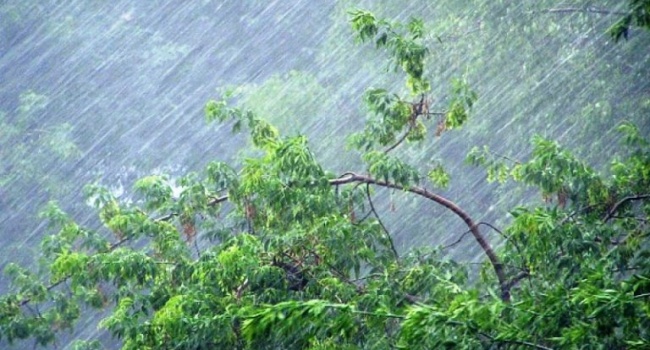  �������� �������� ������ �������� ���������� ������ ���� 