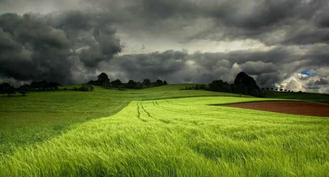 ����: replyua.net