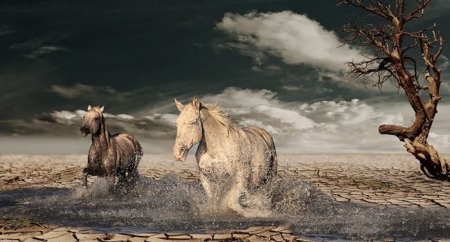 ����: replyua.net