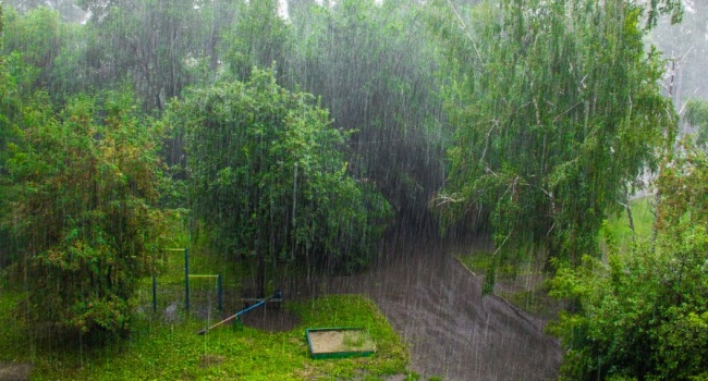  ����� ��������� ������ ���� ������� ����������� 