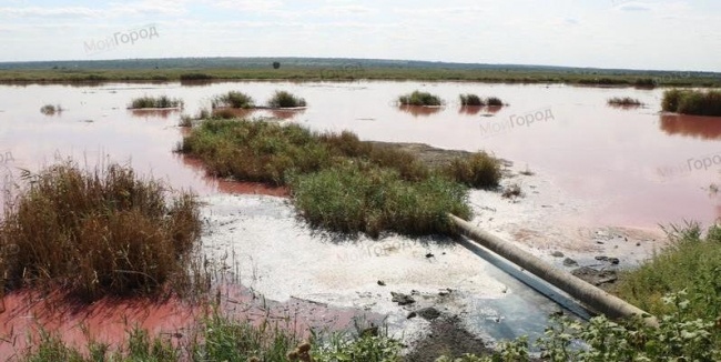 Местные жители бьют тревогу: в Николаевской области река Южный Буг превратилась в красный цвет