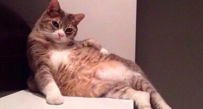  ������� ����������� ������� ���������� ����� ������� ������� ��������� 