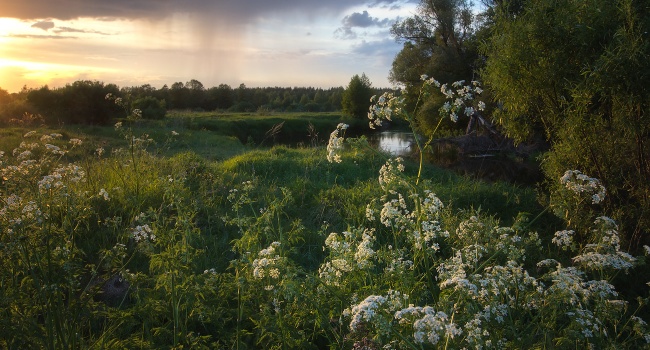  ����� ����� ����������� ������� ������ ����������� ����������� 