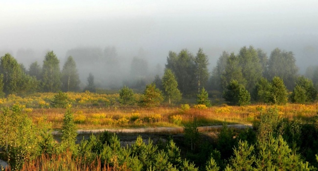  ���� �������� ������ ������� ��������� ��� 