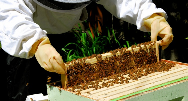  ������� ����� ������� ������ ������������ ���� 