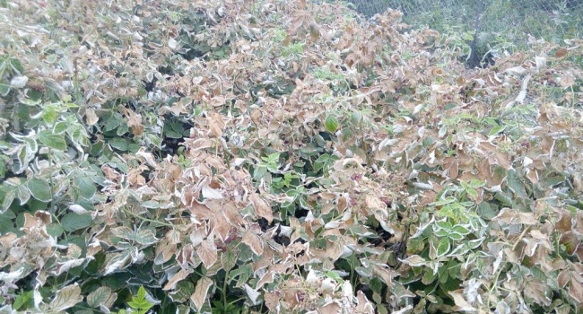  ������� ������ ������� ����������� ��������� ���������� ����� 